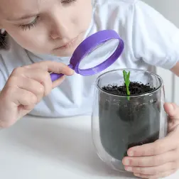 Prinngle Science Primary School & Early Years Teaching Resources | Findel Education