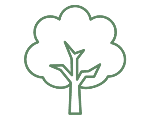 Environmental Concerns, Complaints and Feedback