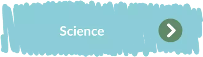 findelinternational_2022128_12_11_39_curriculummusthavesjune211-science-button-min.png
