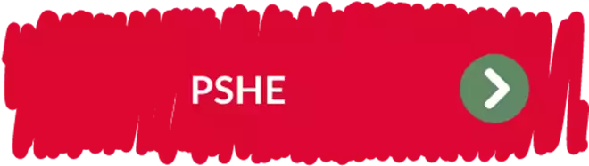 findelinternational_2022128_12_11_39_curriculummusthavesjune211-pshe-button-min.png